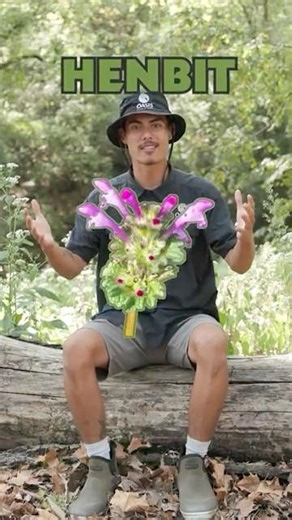 Weed Watch w/Azzy (Henbit)