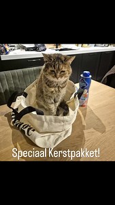 Lilly wilde ook graag ingepakt worden als Kerstpakket. Life is better with a pet. #lilly #kat #liefde #huisdier #kerst #inpakken #cadeau #verrassing #waalre #eindhovencity #riethoven #eindhoven #veldhoven #aalst #valkenswaard #eersel #geldrop #www.carpediemwaalre.nl #info@carpediemwaalre.nl #0615312747 | Carpe Diem Waalre