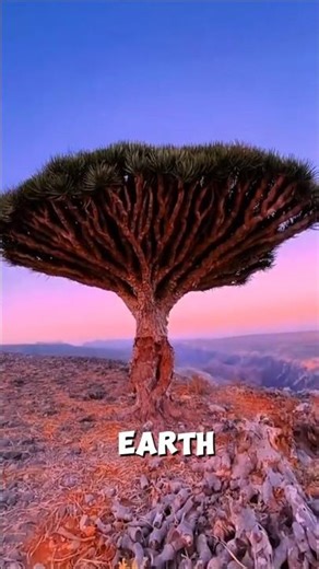 This Island Doesn’t Look Real 😳