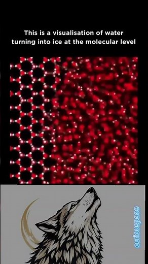 Freezing Water Looks Completely Different at Molecular Level #Science #Shorts #Fascinating