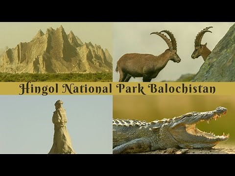 Wildlife and Wonders of Hingol National Park Balochistan , Pakistan | Pakistan Wildlife