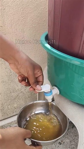 Hydroponic Plants The #1 TRICK to Boosting Yields Instantly #shorts #gardening #hydroponics