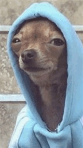 FUNNY WORLD | 😂😂 . . #comedy #funny | Instagram