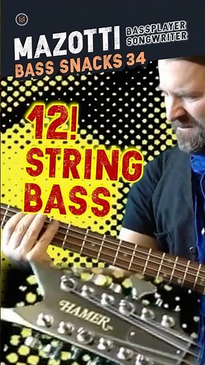 12 ‼️ STRING BASS 🎸 King`s X _ Black the sky 🥨 Bass Snack 34 #bassplayer #12string #bassguitar