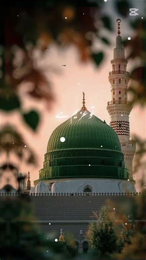 tu wahda hu #shorts #shortsfeed #uploadshorts #duet