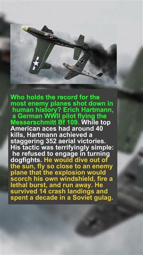 The Ace of Aces Who Shot Down 352 Planes 🥇