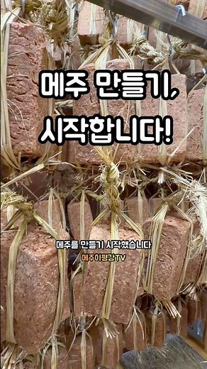 2026년 메주를 만들기 시작합니다 #메주만들기 #국산콩메주 #메주띄우기 #전통메주 #메주예약 #메주판매 #전통발효식품 #혜미강전통발효식품 #메주이평강TV #shorts
