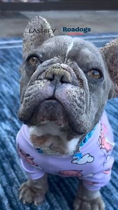 169K views · 173 reactions | This October, every lash can change a...