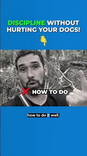 Dog Timeouts: Discipline Without Hurting Your Dogs! #dogtrainer #dogtraining #dogtimeouts #dogcare