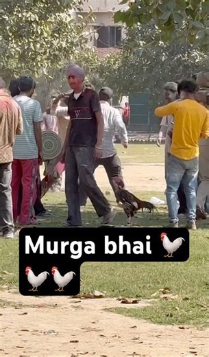 Holi Dance Party: Why Is This Chicken So Still?😂😂😂