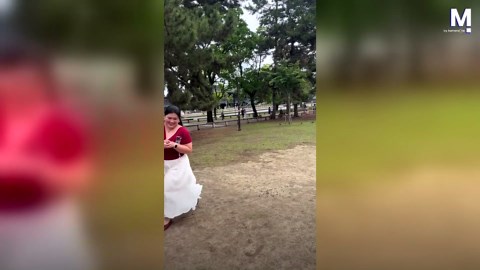 Cheeky deer bites tourist's bottom at Japan's famous Nara Park