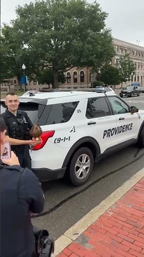 The police are using a new type of K9 dog