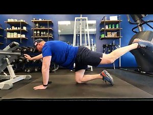 How to Perform the Bird Dog Hold Exercise for Core and Back Stability