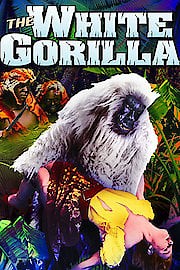 White Gorilla