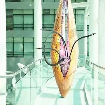 👽📱 A girl recorded her father talking to a car… and discovered an alien invasion