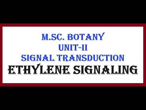 Ethylene Signaling