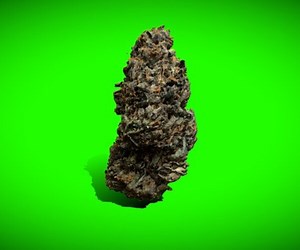 ArtStation - Weed Nugget (3) | Resources