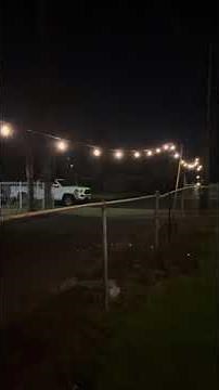 DIY String Light Planters – Easy and Creative Lighting Ideas for Your Garden!