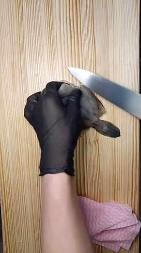 かわはぎのさばき方です！カワハギは皮が簡単にはげるので皮剥です！ただ実は一枚目の皮しか簡単にはとれません！二枚目をとるのは結構難しいです！身の旨みが強く身が締まっています！肝に脂が集中して濃厚です！