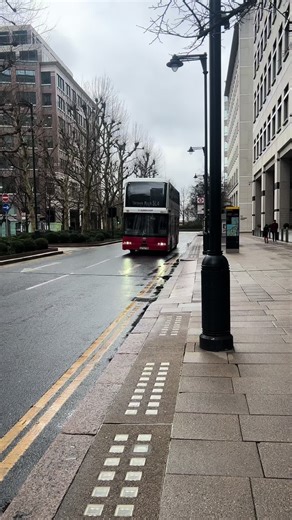 BYD BD11 on route SL4