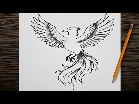 Sketching Phoenix Step by Step || tattoo design