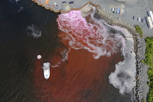 Ocean dumping – or a climate solution? A growing industry bets on the ocean to capture carbon
