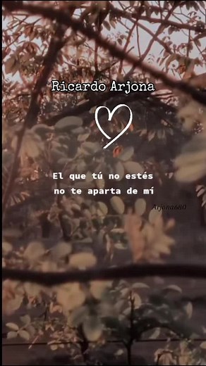 Ricardo Arjona: Fuiste Tú