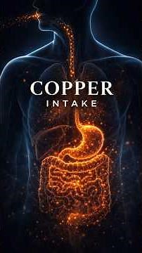 || Why the body needs Copper ||