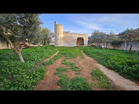 (63) The Reality of Renovating an Abandoned Villa in Sicily!