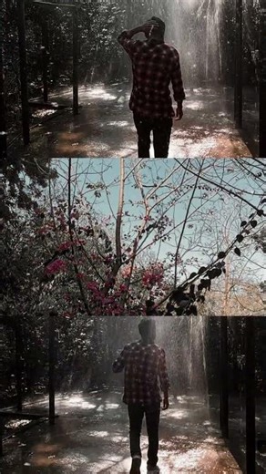 lut le gaya #youtubeshorts #trending #dhurandhar