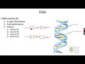 A-Level Chemistry: Polymerisation Part 9