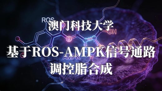 通过活性氧-AMPK信号通路抑制脂合成以治疗恶性与增殖性疾病