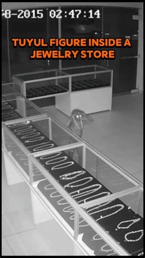 Small figure caught on CCTV taking gold necklaces, then vanishing without a trace. | Aidea