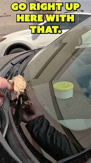 Illiteracy #CartNarcsShorts