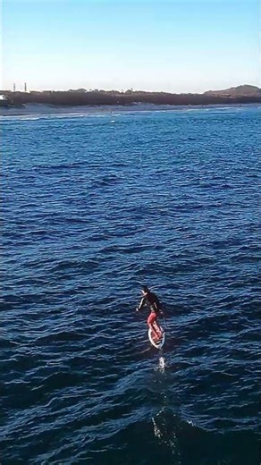 Solo Weekend at the Beach — Sunshine Coast! #shorts