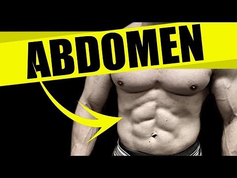 CÓMO ENTRENAR EL ABDOMEN [COMPLETO Y SENCILLO]