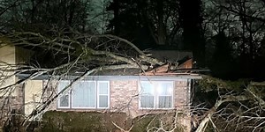 Family safe after tree falls on home in DeKalb County