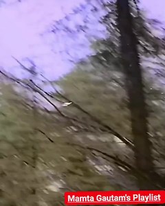 425K views · 10K reactions | Song Name : Mere Mitwa Mere Meet Re Album / Movie : Geet Star Cast : Rajendra Kumar, Mala Sinha Singer : Lata Mangeshkar, Mahendra Kapoor Music Director : Anandji Virji Shah, Kalyanji Virji Shah Lyrics by : Anand Bakshi Music Label : Saregama | Mamta Gautam's Playlist | Facebook