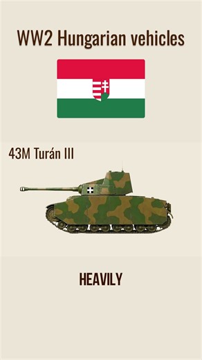 Hungarian WW2 Tanks Explained#shorts