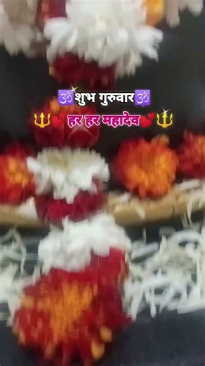Gangeshwar Mahadev Mandir kalapipal mandi on Instagram: "🔱💕हर हर महादेव💕🔱श्री गंगेश्वर महादेव प्रातः कालीन श्रृंगार दर्शन 08.01.2026 शुभ गुरुवार#mahakaljyotirlingaujjain #mahakaleshwar_temple_ujjain #ujjaindarshan #mahakalbhakt #mahadev #bholenath #instalike #reelsinstagram"