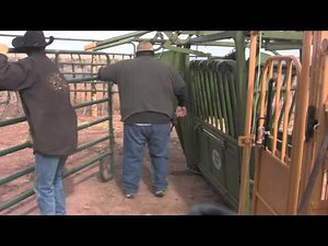 NTC Veterinary Technicians perform Trich testing