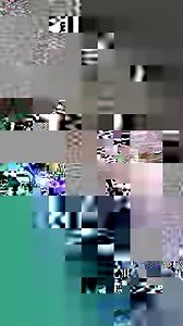 9.3K views · 718 reactions | Can you spot the differences between good and bad forest management? Do you know what the consequences are of a poorly managed forest? Griff riffs and dances in the old growth while pointing out that we can help nature help nature. | Redwoods Rising | Facebook