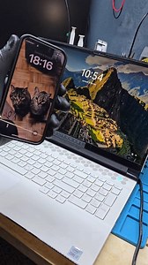 after u seee this video u won't let ur cat or dog play near your Pc... #foryoupage #tunisia🇹🇳 #alienware #gaming #professional | Dr Console & Pc