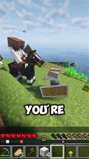 Come hangout on the Forgotten SMP!!