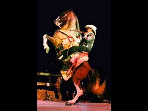 Pienso en ti- Joan Sebastian