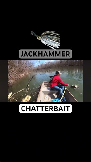 Massive Largemouth Out of the Shenandoah River #chatterbait #runnyeggs