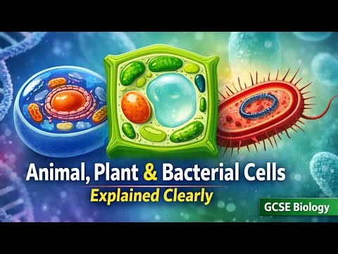 Cell Structure Guide – Animal, Plant & Bacteria, GCSE Biology
