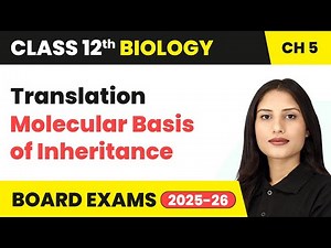 Translation - Molecular Basis of Inheritance | Class 12 Biology Chapter 5 | CBSE 2024-25