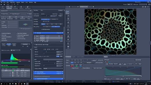 2 BF image accuquisition