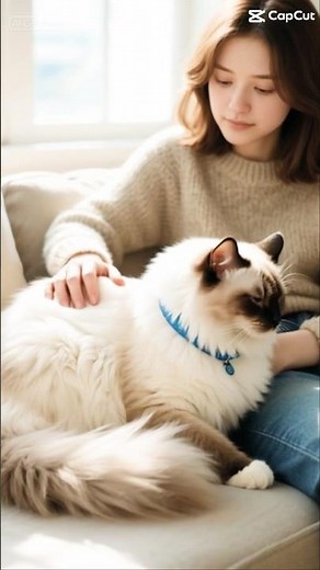 Cutest & Funniest Cat Moments Ever 🐾 | Viral Compilation